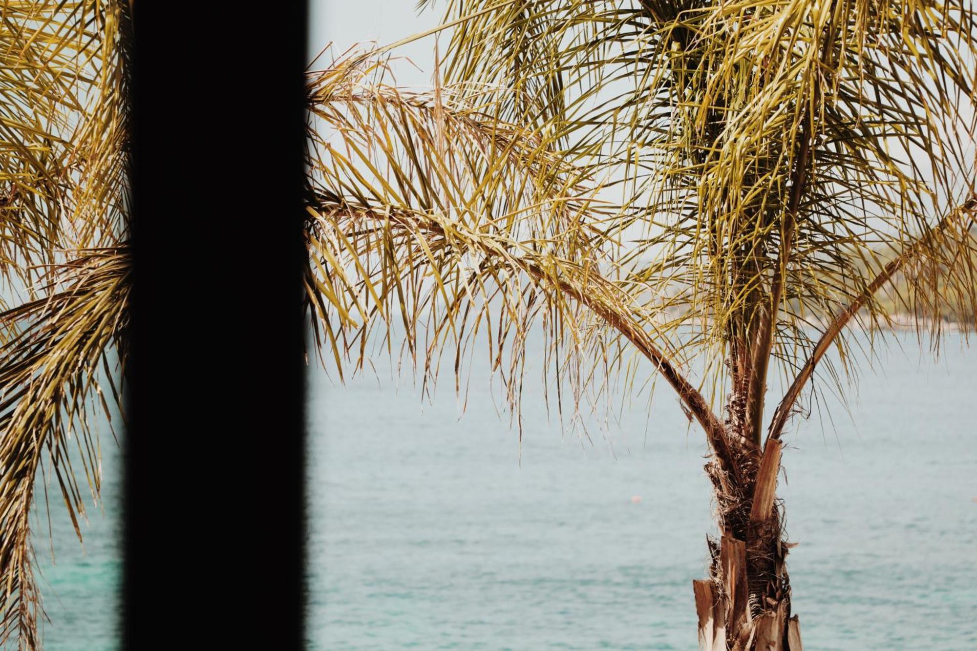 Oniro By Iliria Palace (Adults Only) Χειμάρρα Εξωτερικό φωτογραφία